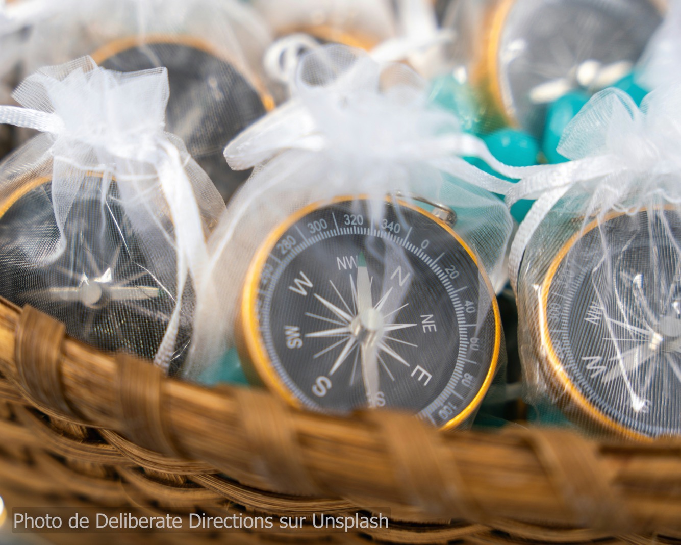 Team Coaching compass